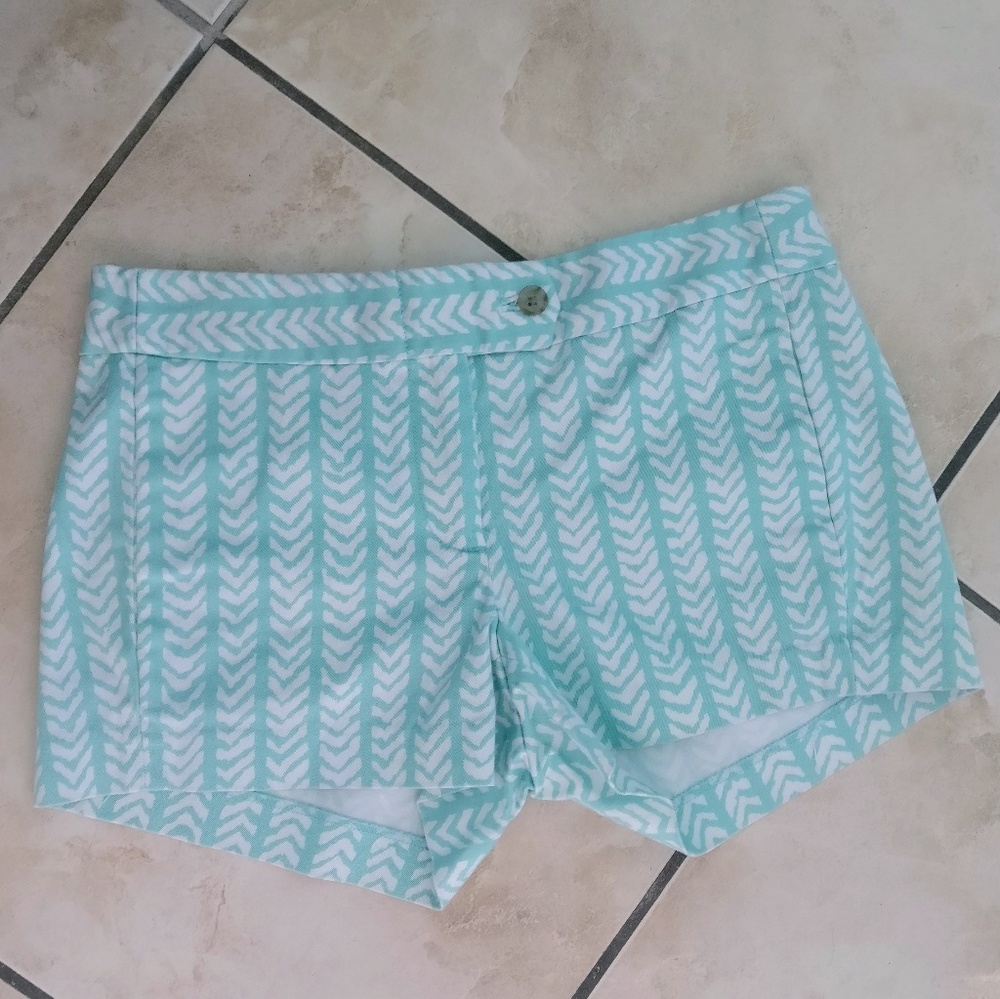 Mint Green/Blue J Crew Stretch Shorts Size 0